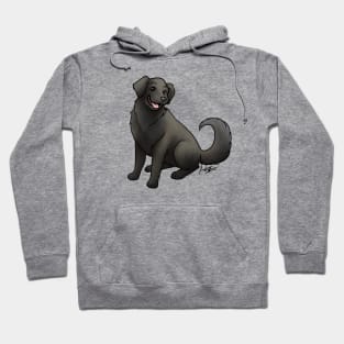 Dog - Flat Coat Retriever Golden Black Hoodie